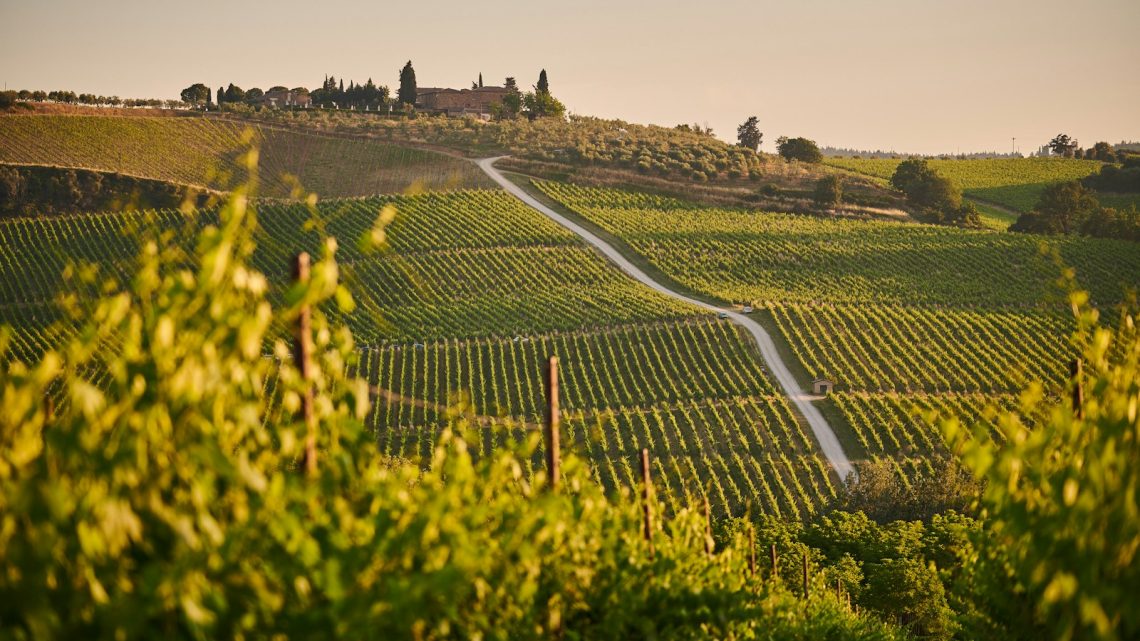 Les belles routes des vins à explorer?