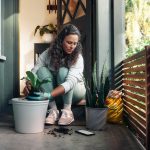Woman planting a small houseplant in a pot